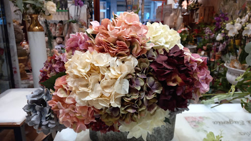 Bella Eugenia Decoración
