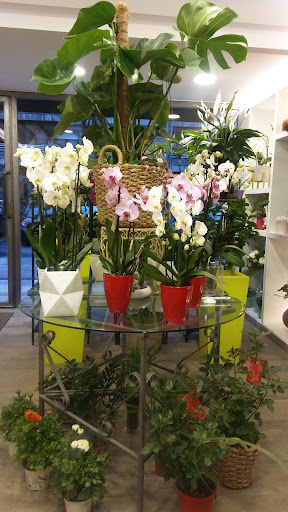 BEKOA FLORISTERÍA