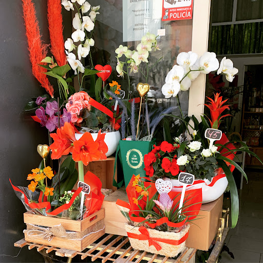 Besos de Flores