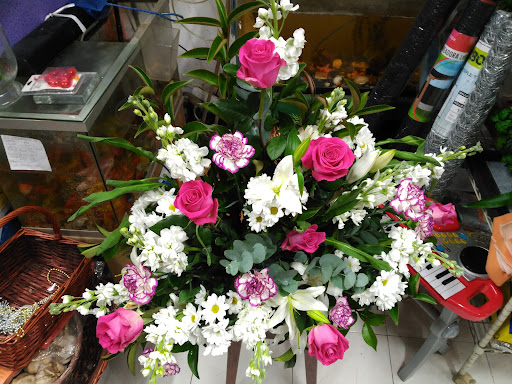 Amelia Floristería