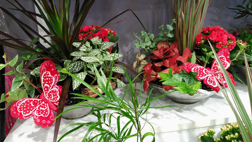 Floristería Imabel
