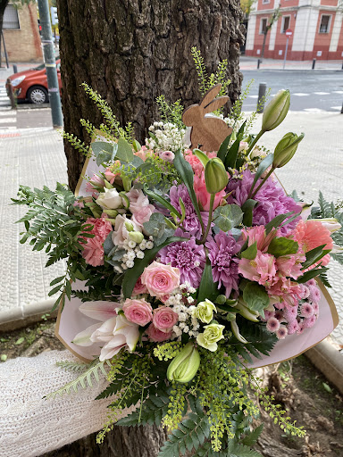 FLORISTERIA HIEDRA