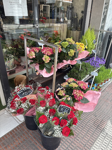 Lekanda Floristas