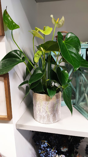 Floristería Mari Asun