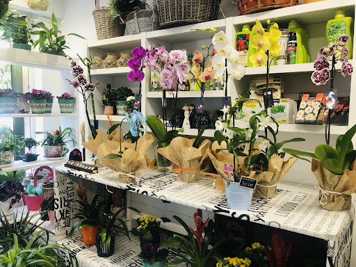 LOREAKERI ARTE FLORAL Y EVENTOS