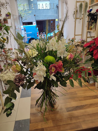 Floristería iuliana Arte Floral