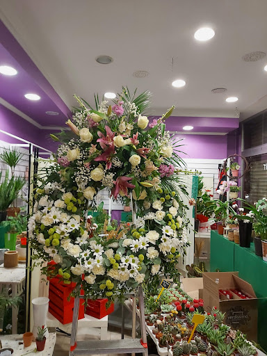 Floristeria Flores y Plantas Mariflor