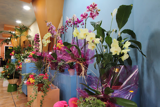 Floristería Miramar - Interflora