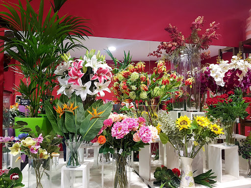 Lekanda Floristas