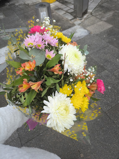 Eneritz Interflora