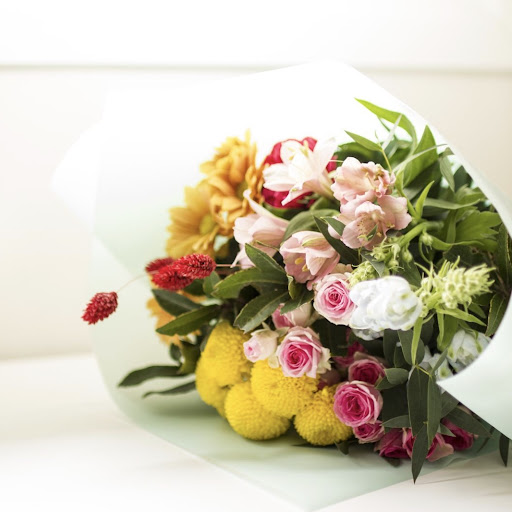 Flores Sonia