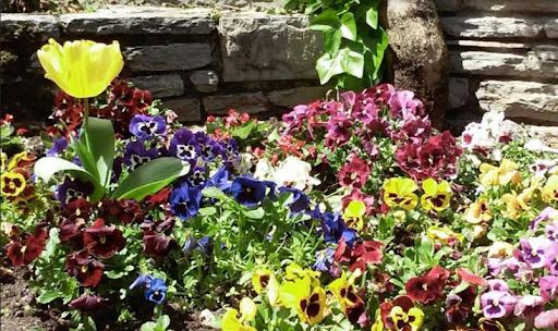 Jardinería Loiu