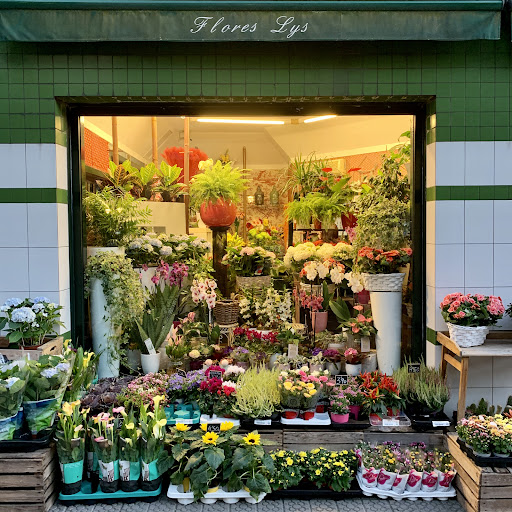 Flores Lys