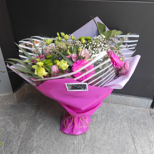 Floristería San Blas Alicante. Flores a domicilio Alicante. Floristería Alicante, Цветы в Аликанте