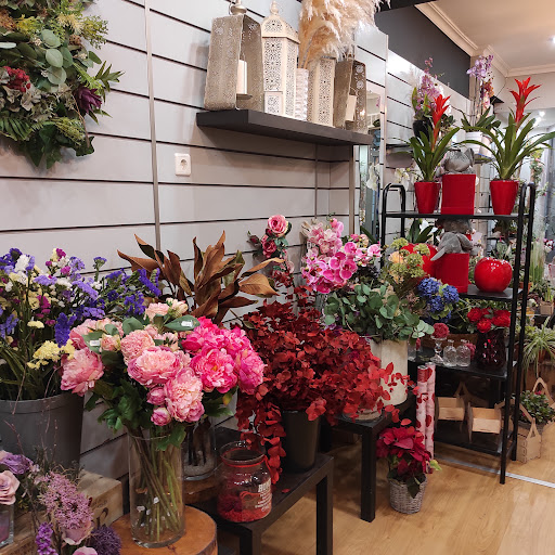 Floristería San Blas Alicante. Flores a domicilio Alicante. Floristería Alicante, Цветы в Аликанте