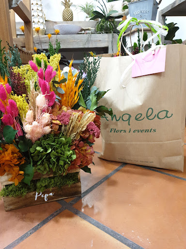 Angela Flors i Events