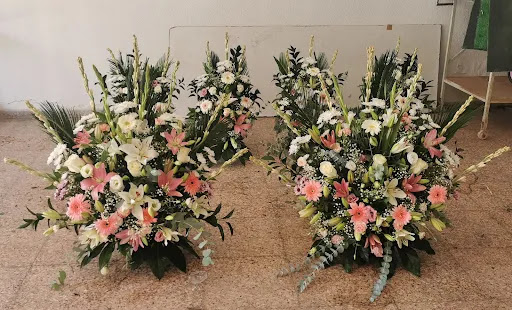 FLORISTERIA PURA