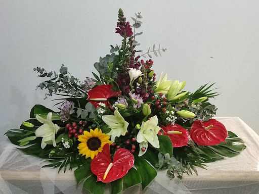 Paco Floristas