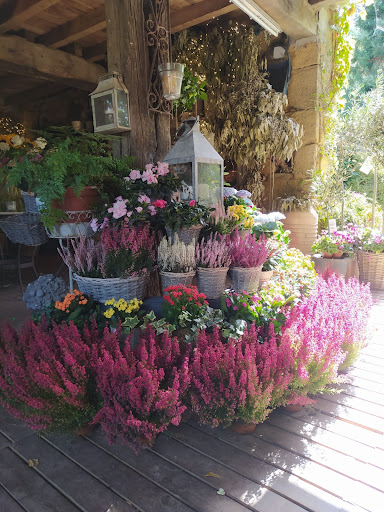 Markina Floristas