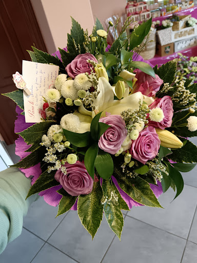 Floristeria Sofia Anxeles