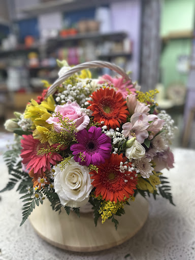 Casavieja Floristas