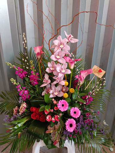 Floristeria Buccaro Alicante