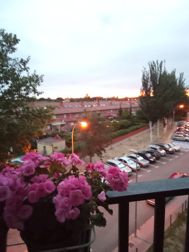 Els Molins