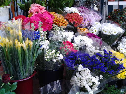Floristeria Buccaro Alicante