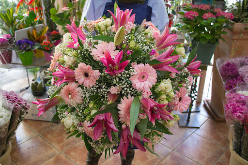 Floristería Chorlit