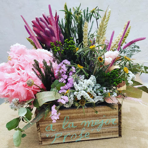 Floristería Tropical