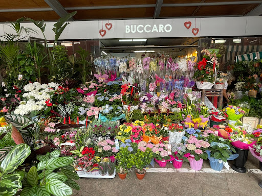 Floristeria Buccaro Alicante