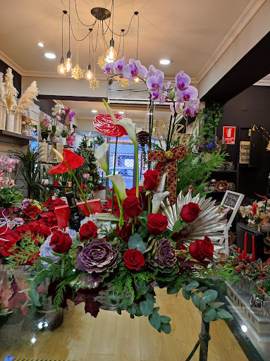 Floristería San Blas Alicante. Flores a domicilio Alicante. Floristería Alicante, Цветы в Аликанте