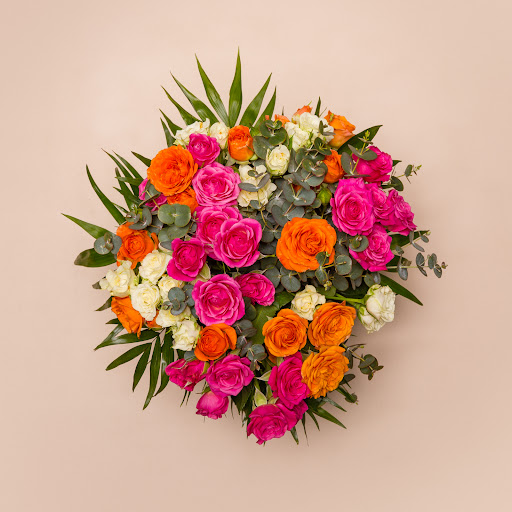 Flores y Plantas Gloria
