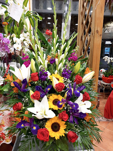Floristería Lucía