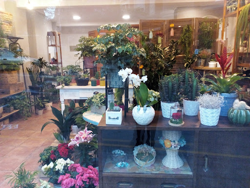 Floristería Criviflor