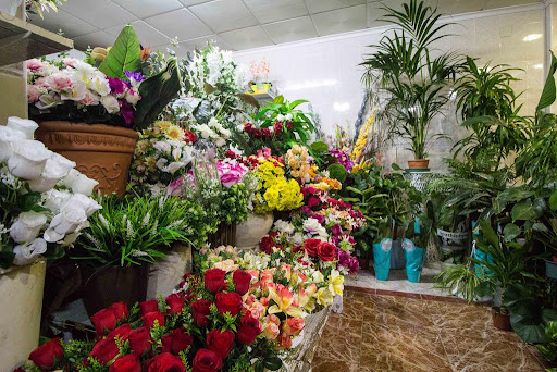 Floristería en Torrevieja - Martí