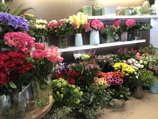 Floristería Carmina