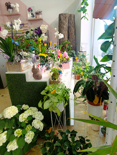 Pandivina - Floristería en Torrevieja - Flower Shop Blumenladen флорист Floreria - Envío a domicilio Delivery