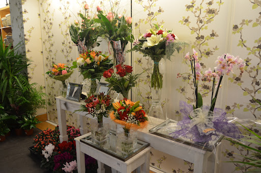 Lore Taller Floral