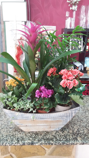 Natura Floristas