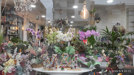 FLORA BOTANICA