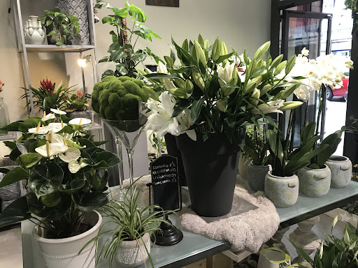Ibon and Krais floristería y diseños florales | Bilbao