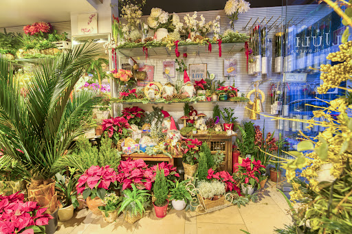 El Juli Creative Flowers - Floristería Alicante