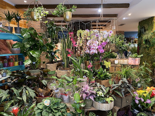 La Casa de las Flores - Floristería en Alicante