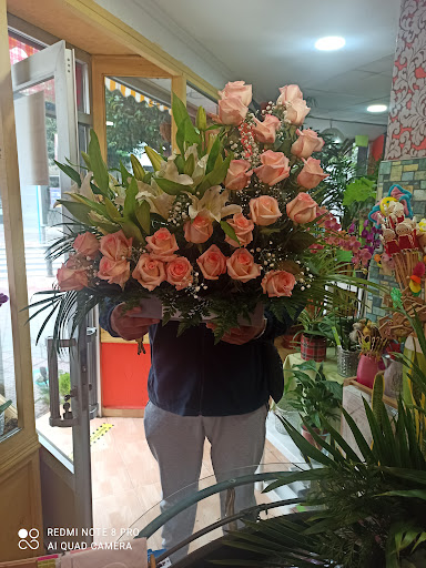 Floristería Gemma