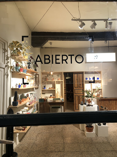 BOTÁNICA TEXTIL