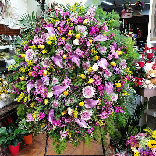 Tina Floristas