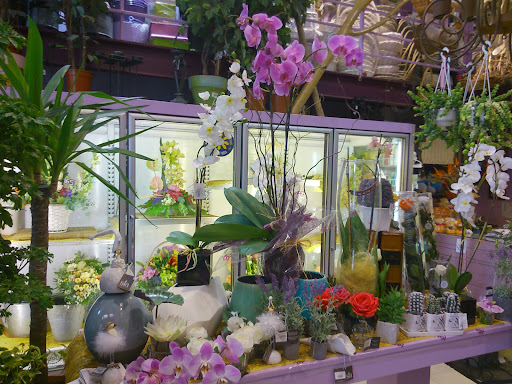 Castilla Floristería