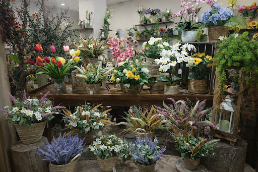 FLORISTERIA CAÑAETA