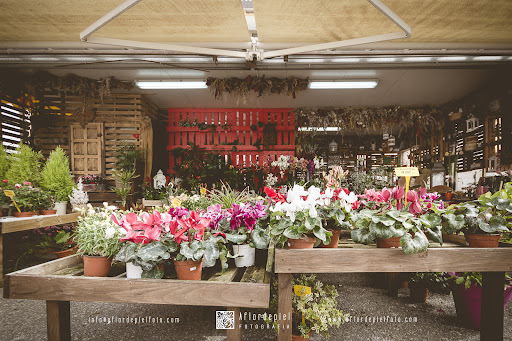 TOMAJARDIN FLORISTAS